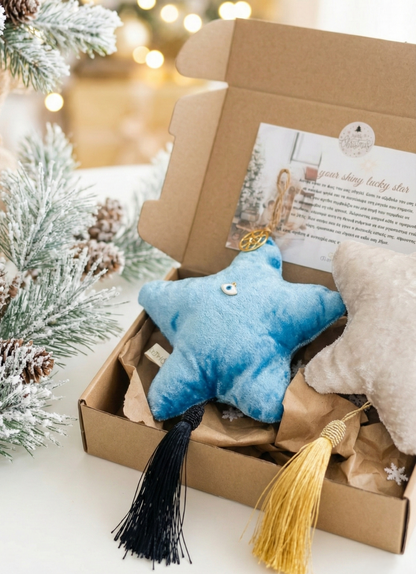 Γούρια 2026 Combo Box