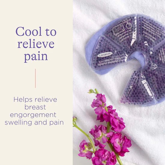 Lansinoh Hot & Cold Breast Therapy Packs - The4kins baby brand